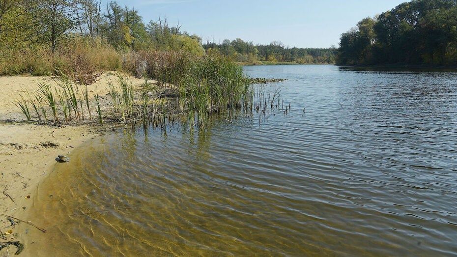 Продам участок, 12 соток на березі озера, 1500$ за сотку
