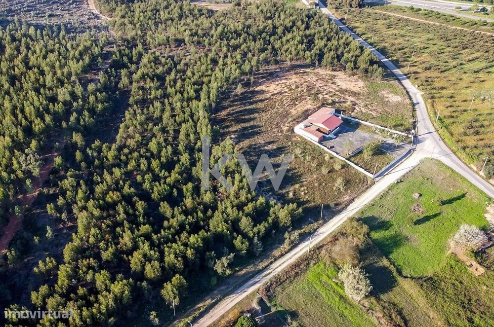 Loteamento na Quinta de S. Francisco (LOTE 1)