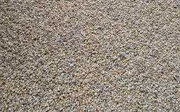 Kukurydza sucha , mielona ,luz