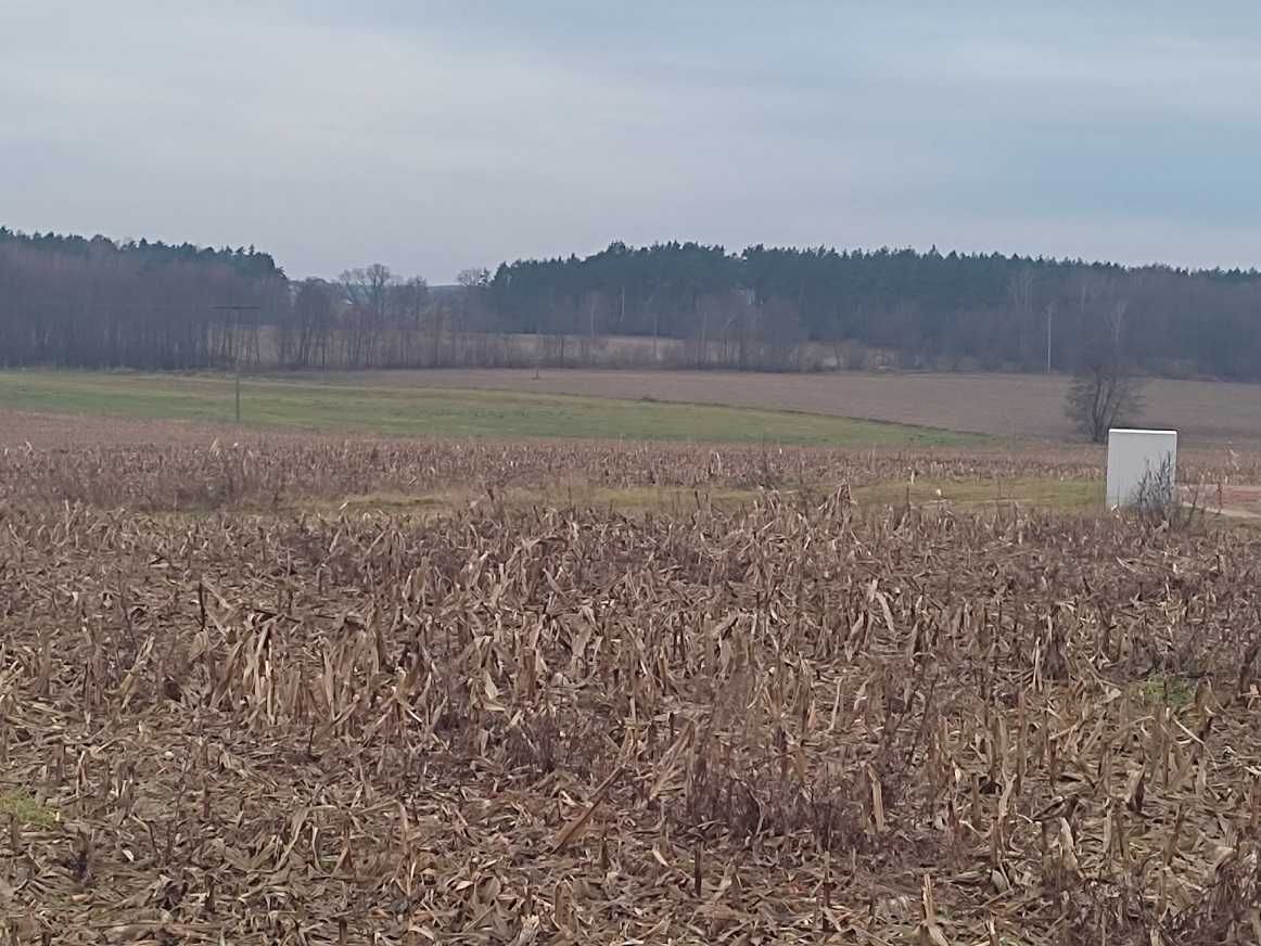 Działka budowlana - 715 metrów - Plewno k/Świecia