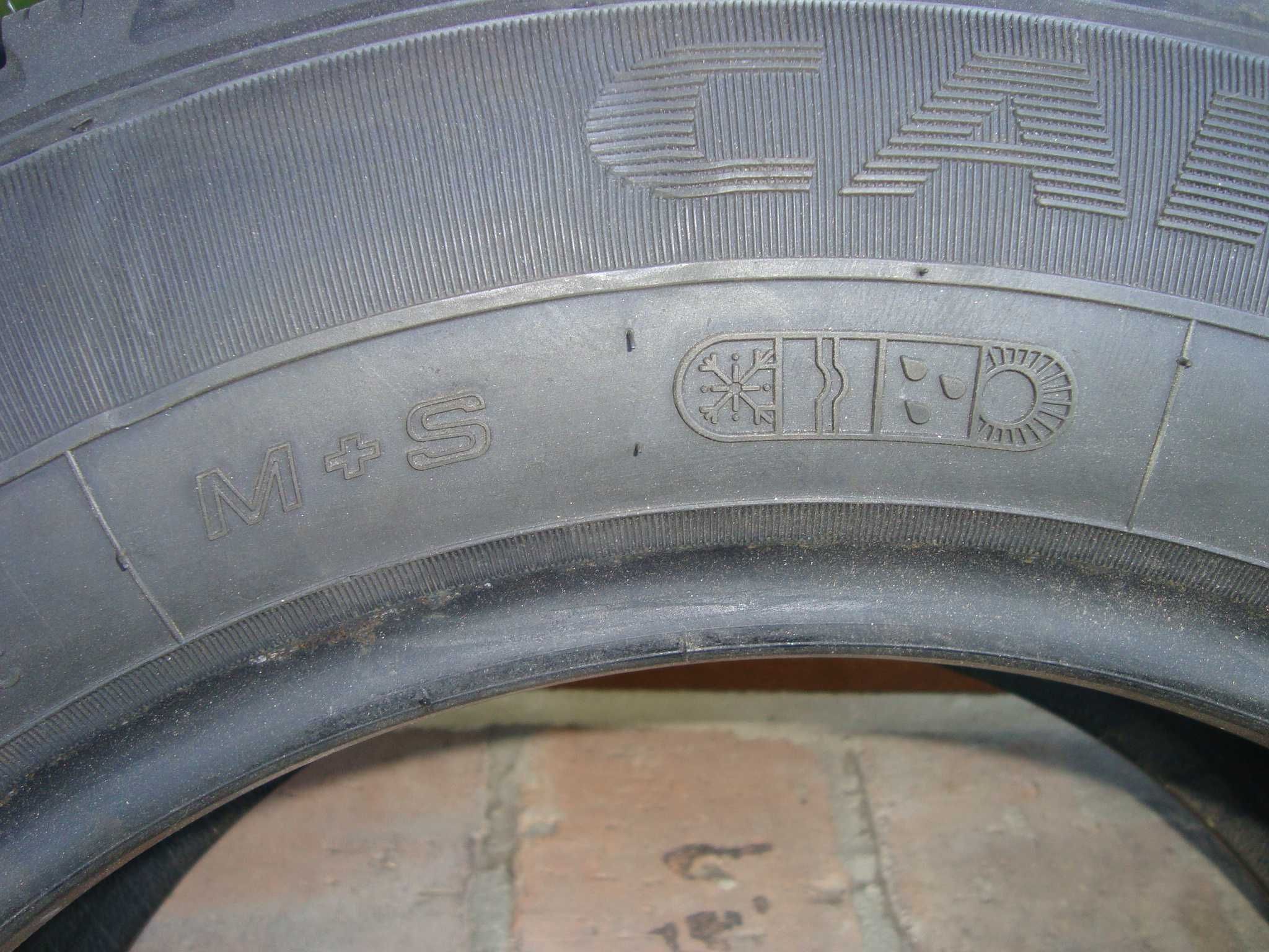 Opona pojedynka wilosezon Goodyear Cargo Vector 215/65R16C