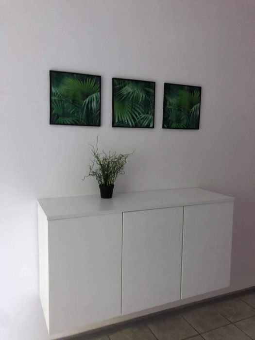 Apartament Nadbystrzycka no. 3