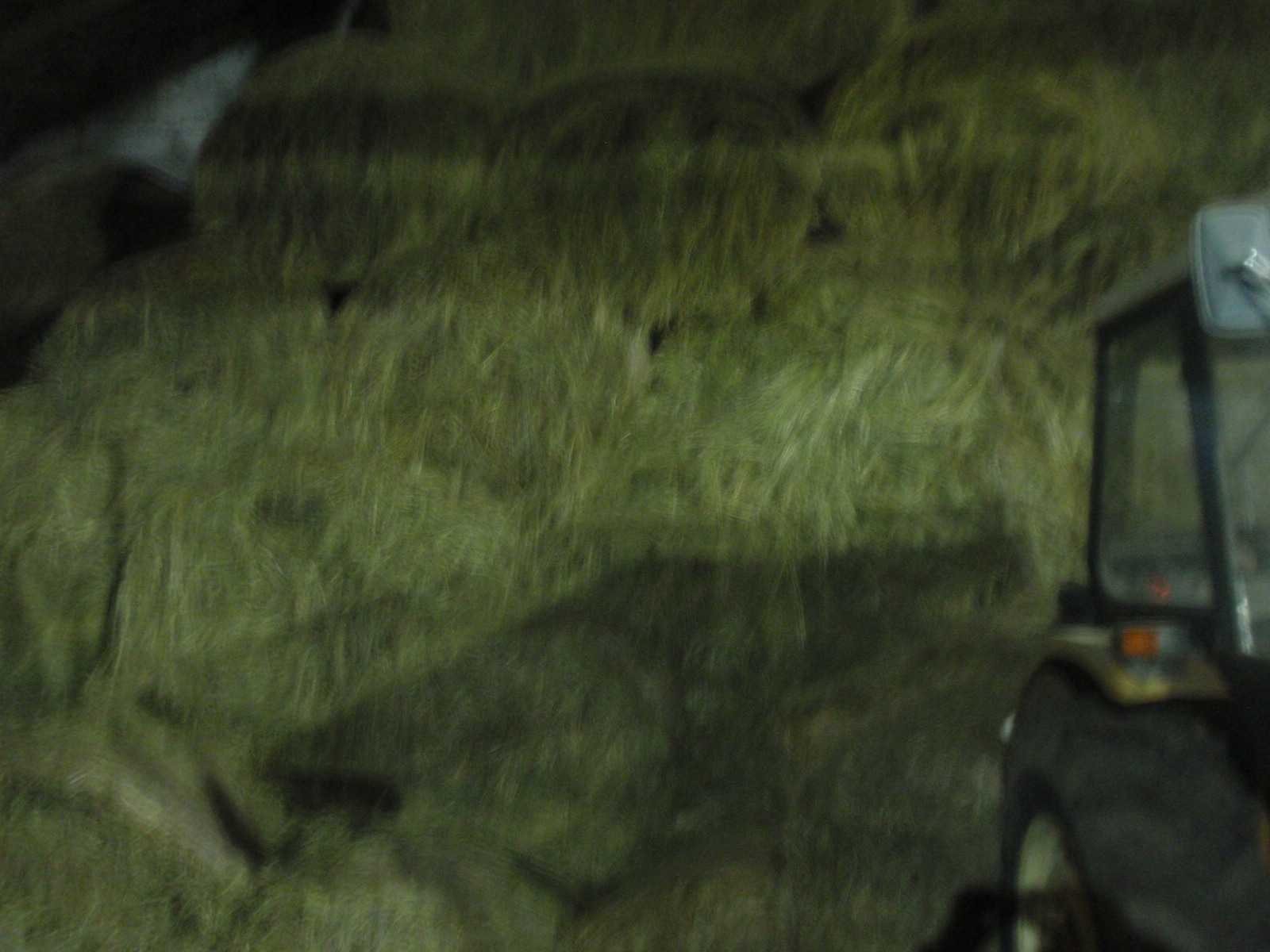 Siano, Słoma bale baloty dobrej jakości pod dachem załadunek transport