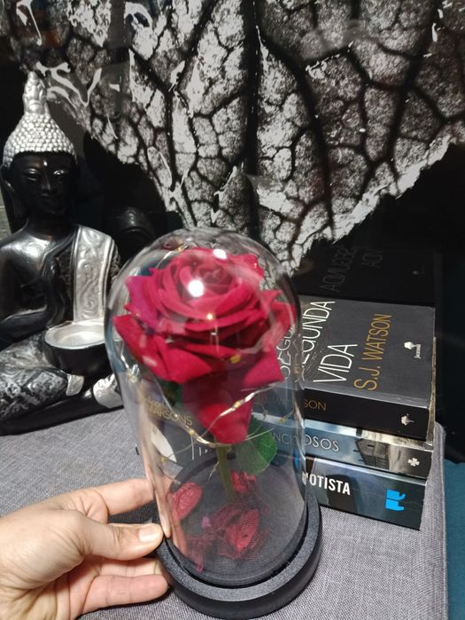 A Bela e o monstro Rosa eterna vermelha