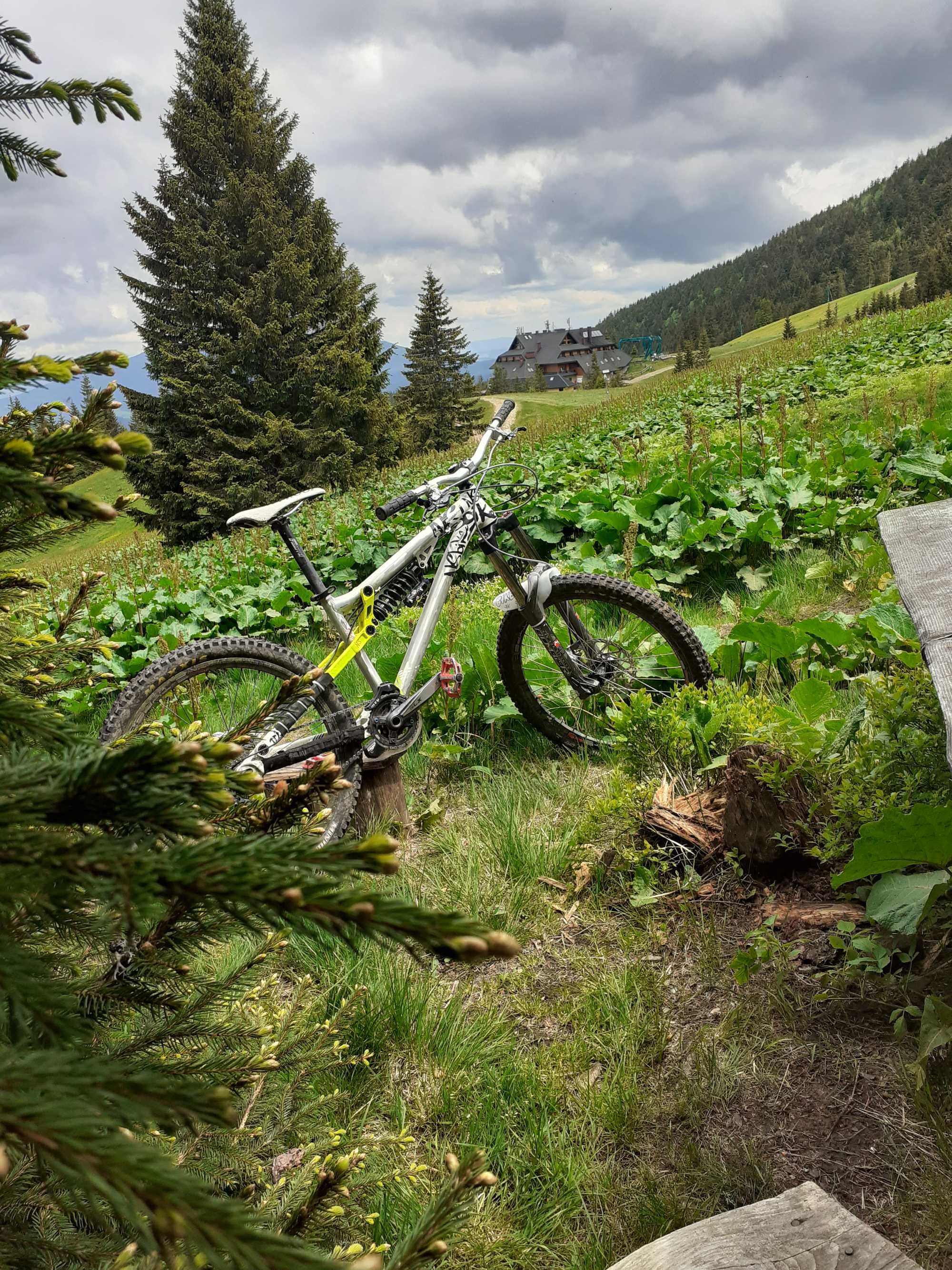 Ns bikes enduro dh/fr