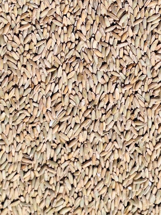 Sprzedam zboże owies, jęczmień, pszenice i żyto