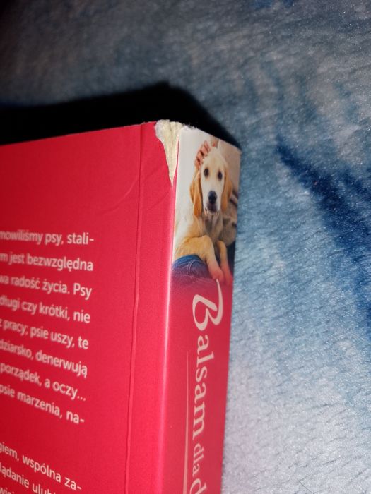 Książka "Balsam dla duszy miłośnika psów"