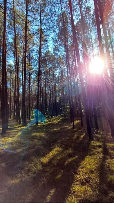 Spotkaj się ze mną – przestrzeń zrozumienia i wsparcia.