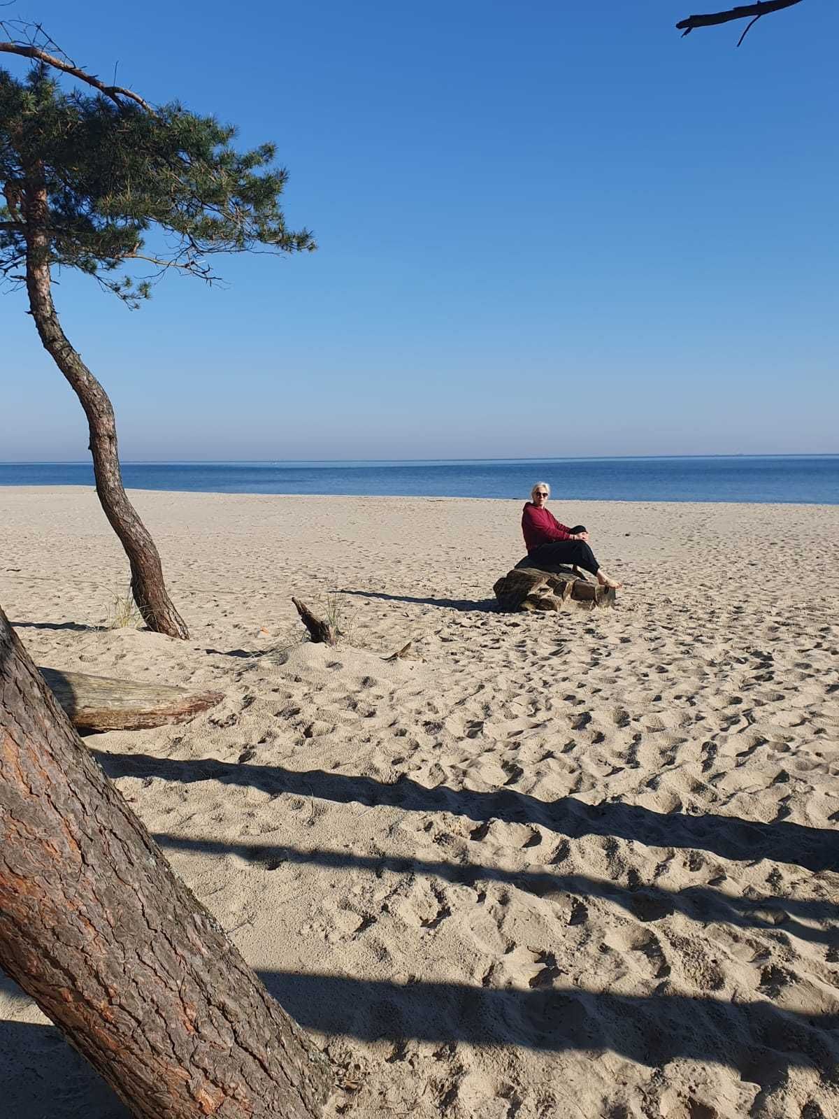 Solo na wyspie - domki letniskowe Gdańsk Sobieszewo