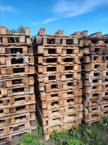 Palety 120 x 80 cm w cenie 22 zł/szt