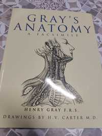 Livro Gray's Anatomy