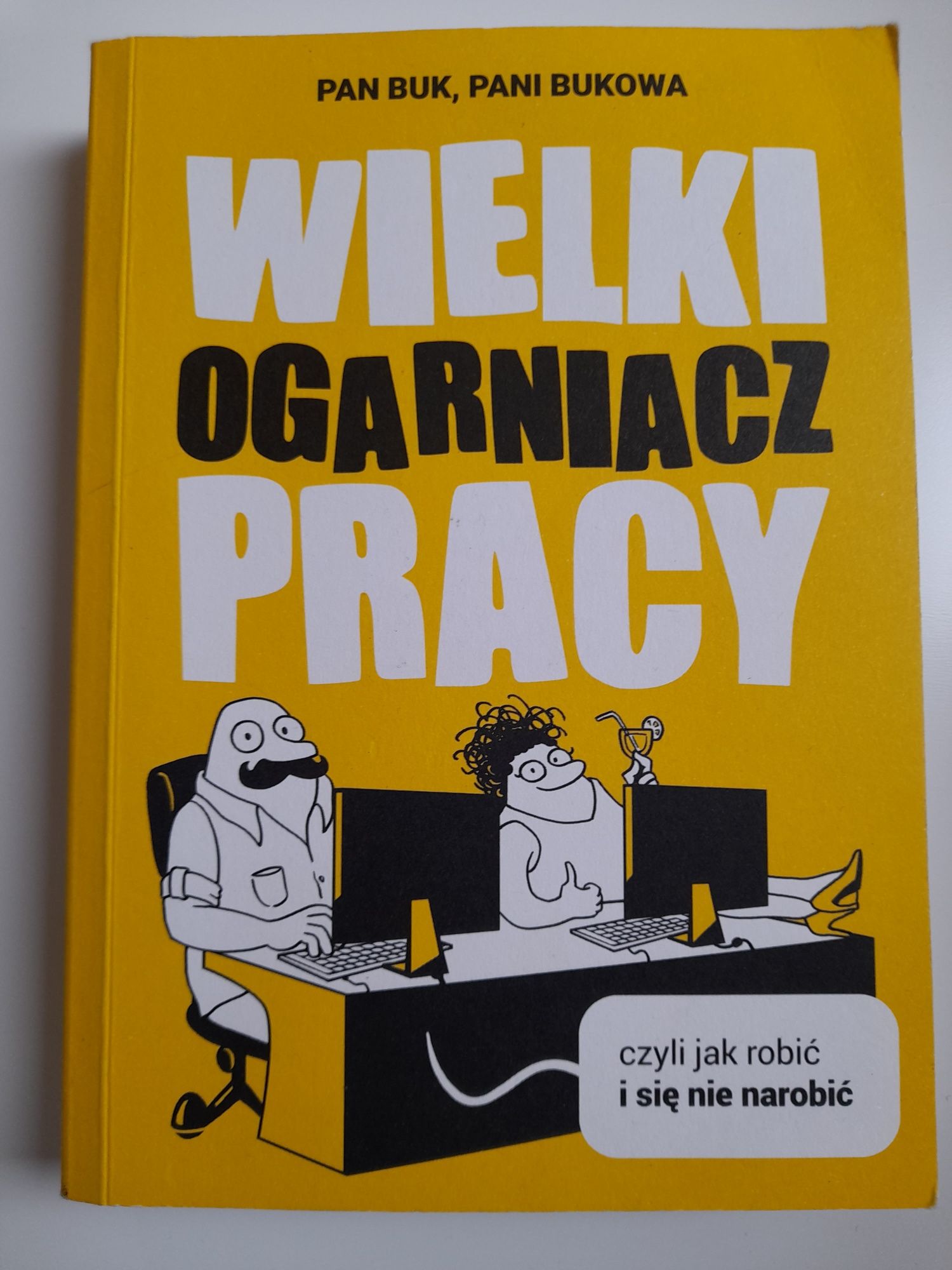 Książka  Wielki ogarniacz PRACY  Pani BUKOWA