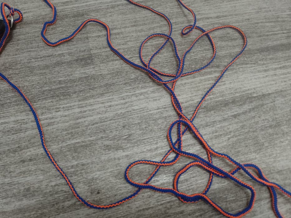 Sprzedam dla kota obrożę i smycz 350 cm.