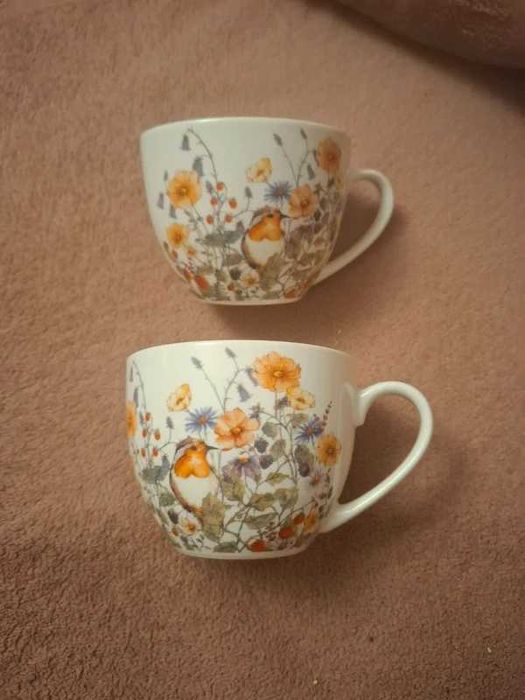 Dwie filiżanki Wild Bird