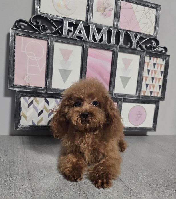 Харизматичний малюк