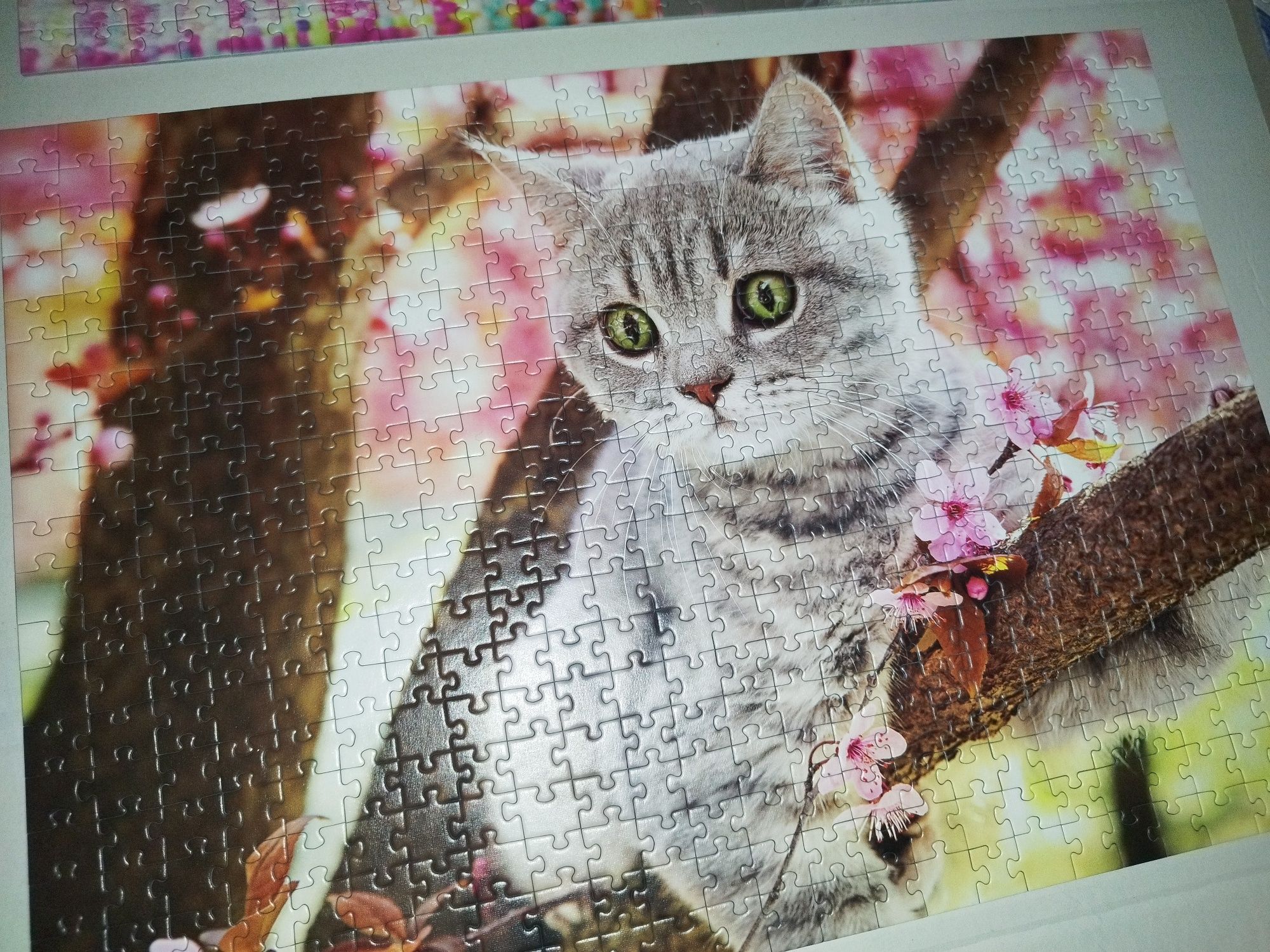 Puzzle 3w1 500,500,1000 Limited Edition Kittens Trefl