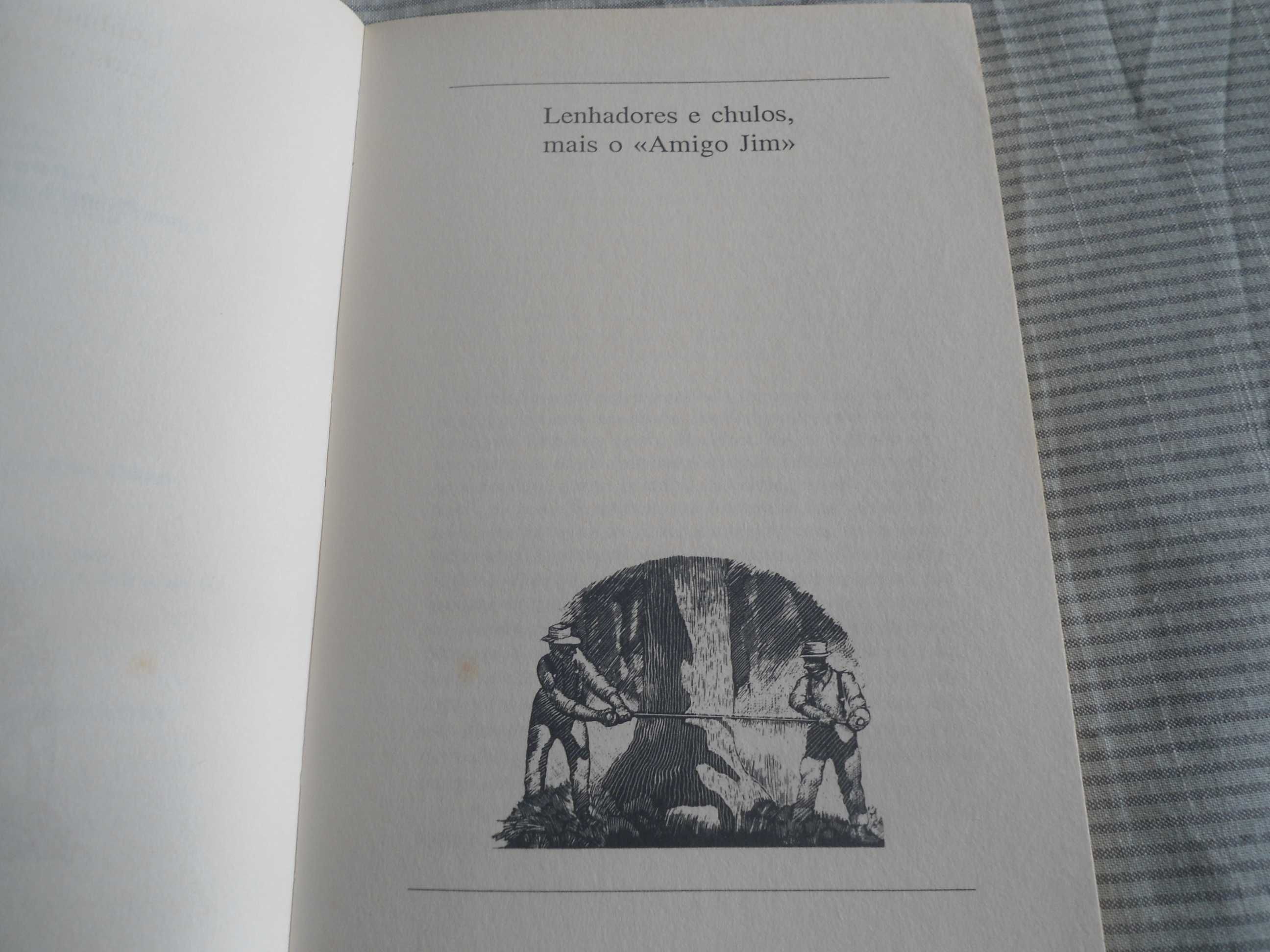 Lenhadores e Chulos e SFEU 1919 por Norman Maclean