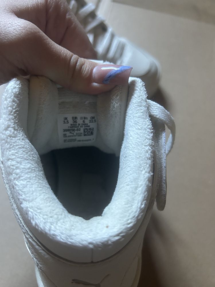 Puma Carina Street