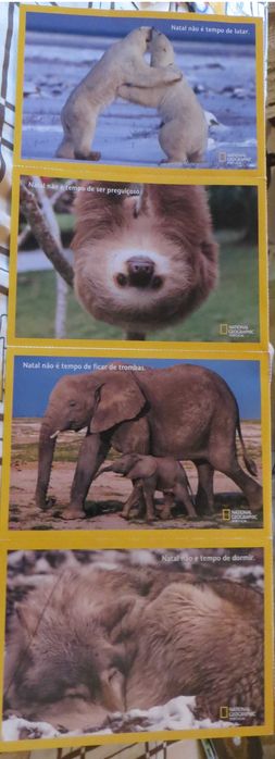 Fichas Animais e todas as sua Características 12 Unidades + Oferta DVD