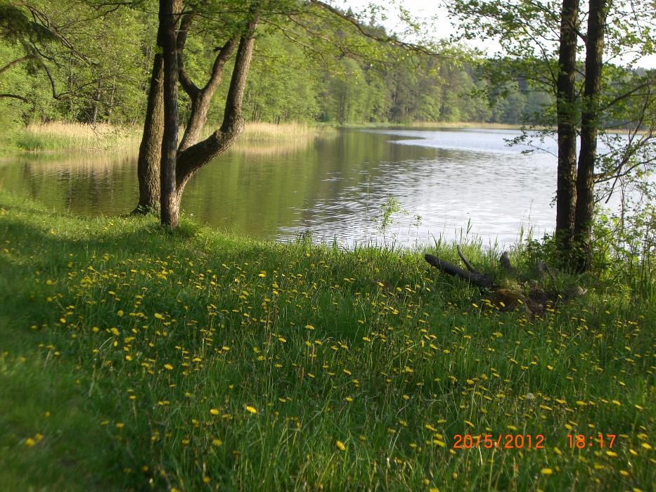 Przystanek Lasanek, domek nad jeziorem w Becejłach na Suwalszczyźnie