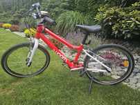 Rower Woom 20 cali