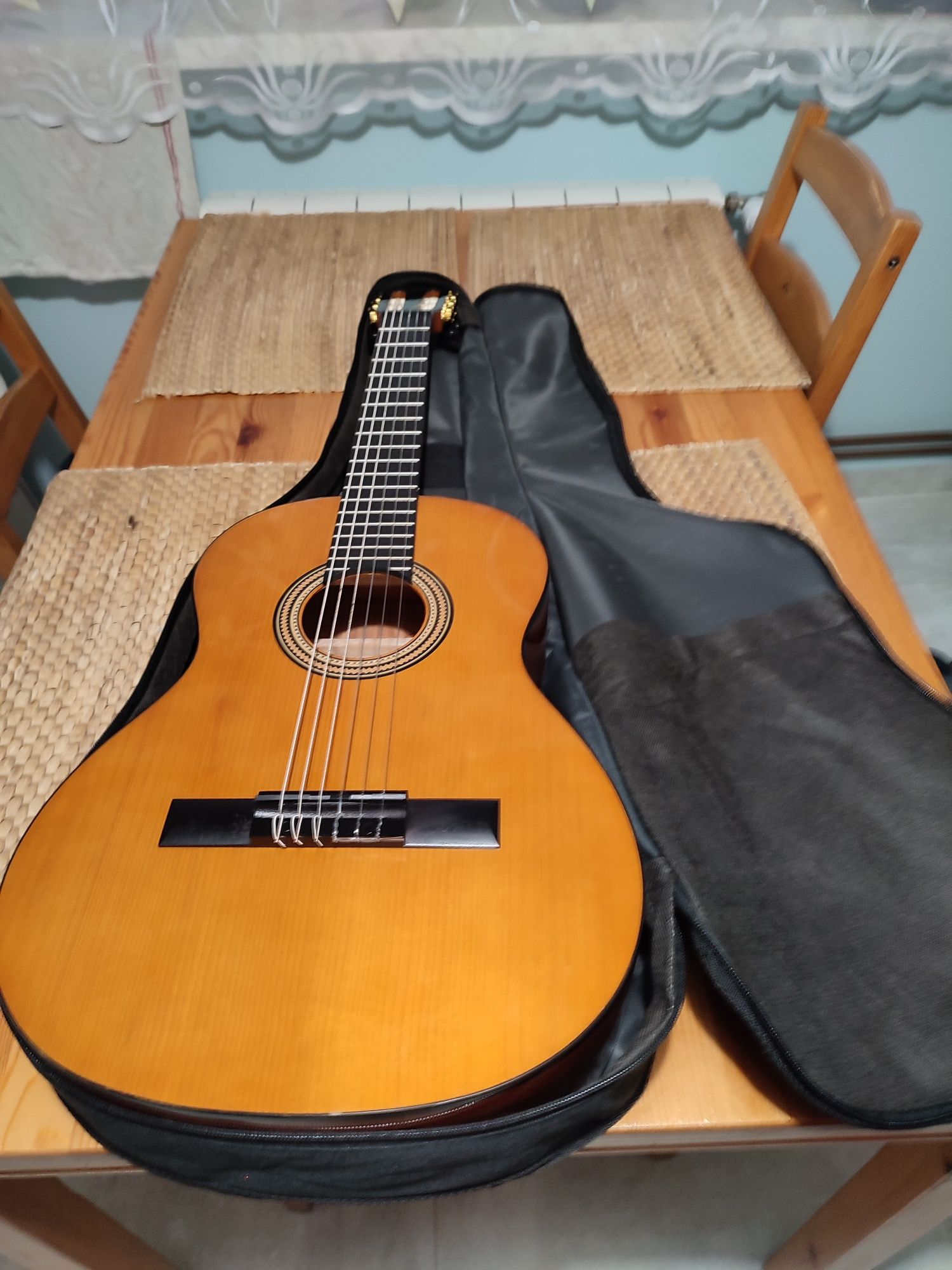 Gitara Valencia Established