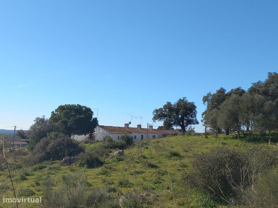Terreno - quinta, Investimento, 12 hectares e 844 m2 edificados, Évora