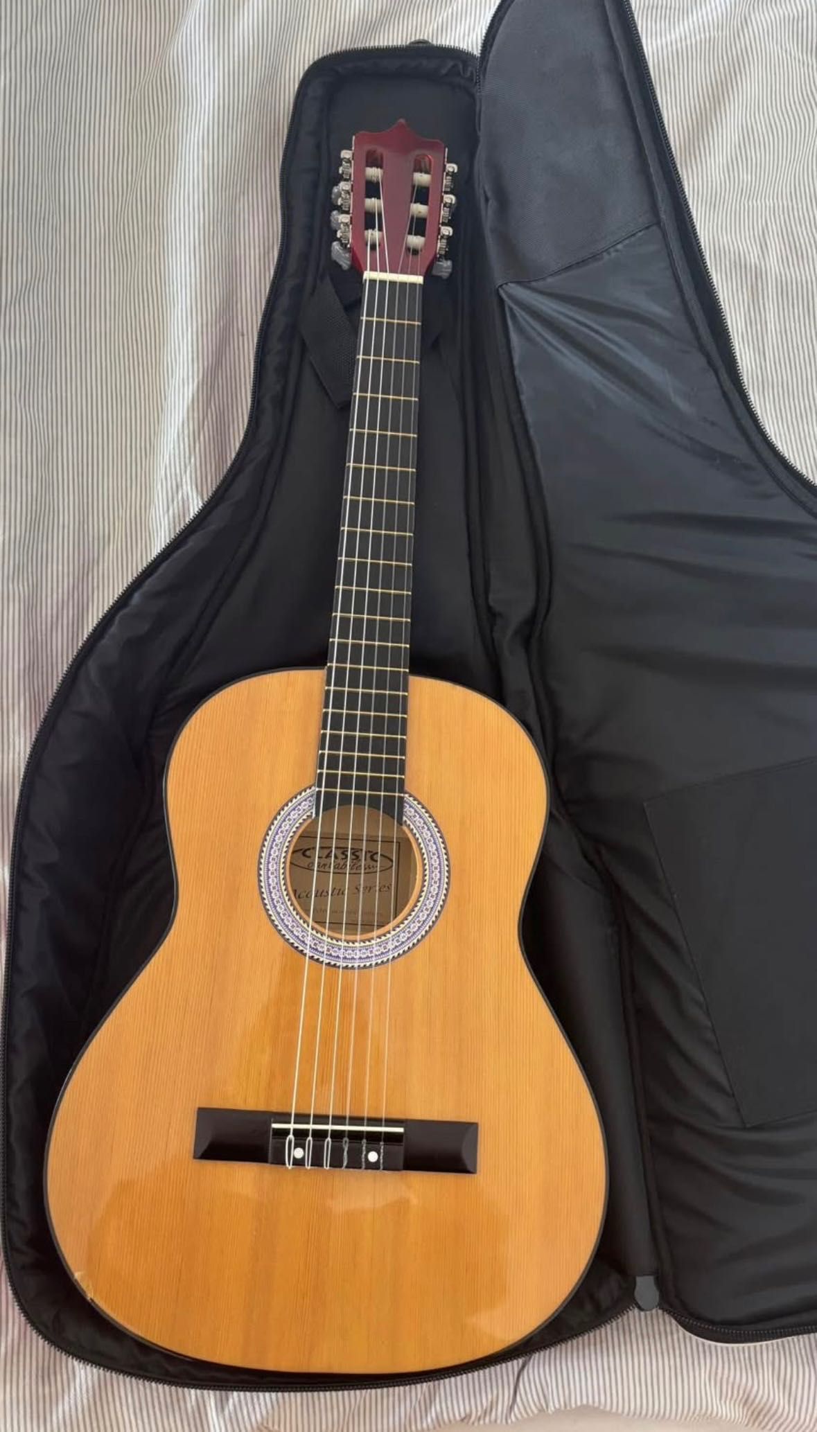 Acoustic Guitar with renewed strings