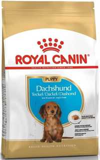 WYPRZEDAŻ Royal Canin Dachshund Puppy dla Szczeniąt Jamników 1,5kg