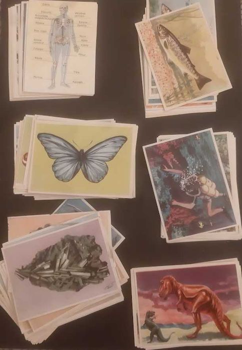 Cadernetas Enciclopédia Cultura Volume 1º/ 2º completas e cromos