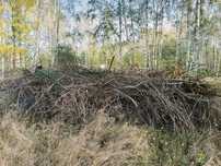 Oddam chrust za darmo