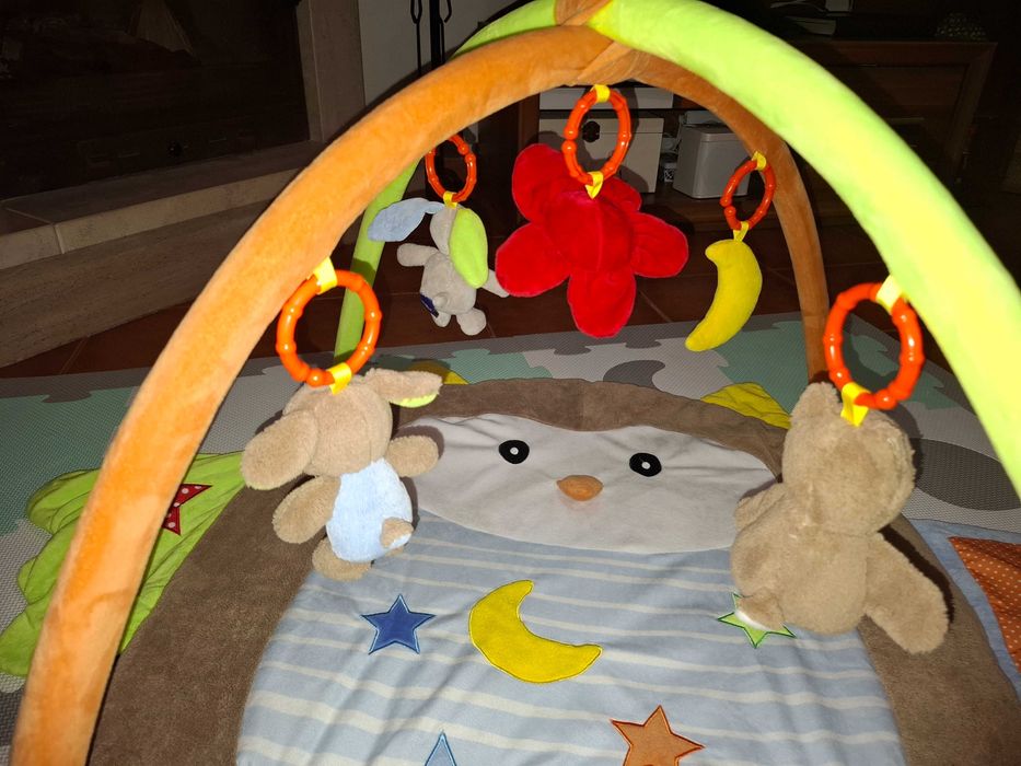 Tapete/Ginasio Bebé