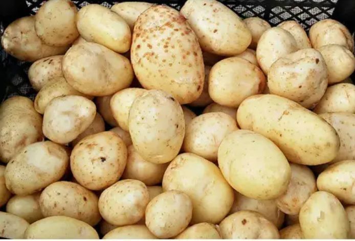 Продається молода картопля у роздропі та оптом