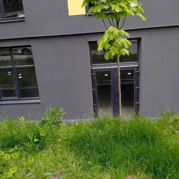 Довгострокова оренда нежитлового приміщення