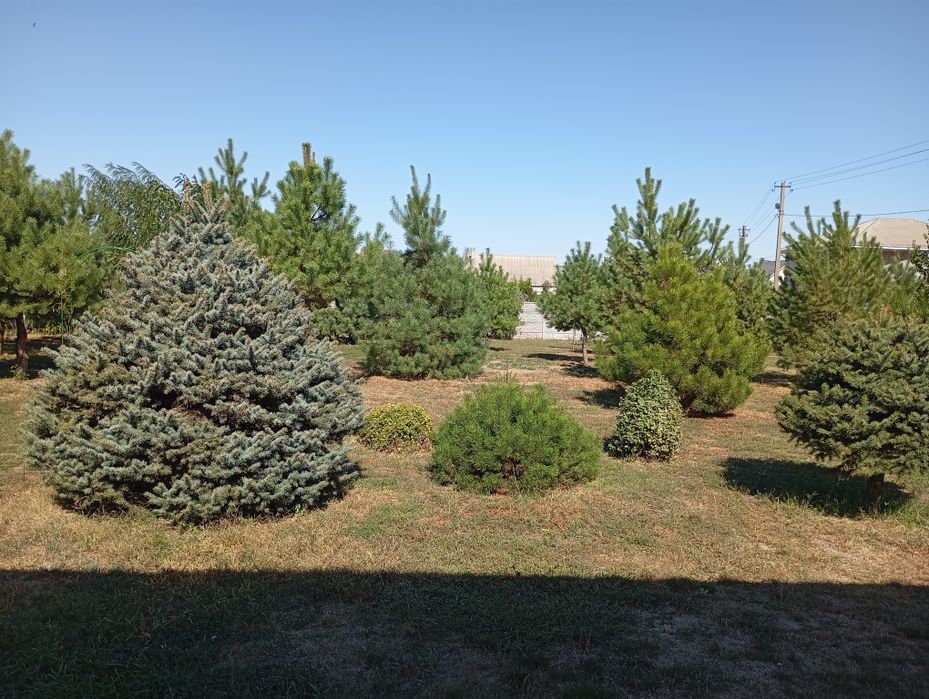 Продам шикарный дом на голубом озере Елизаветовка/Каменское