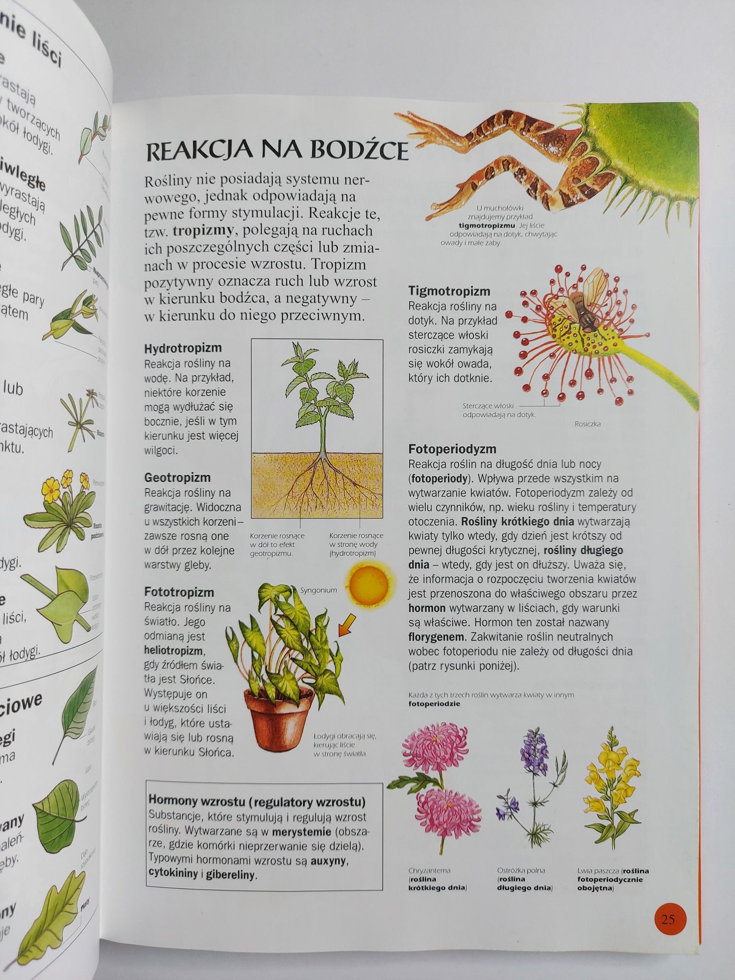 Biologia - Ilustrowany słownik