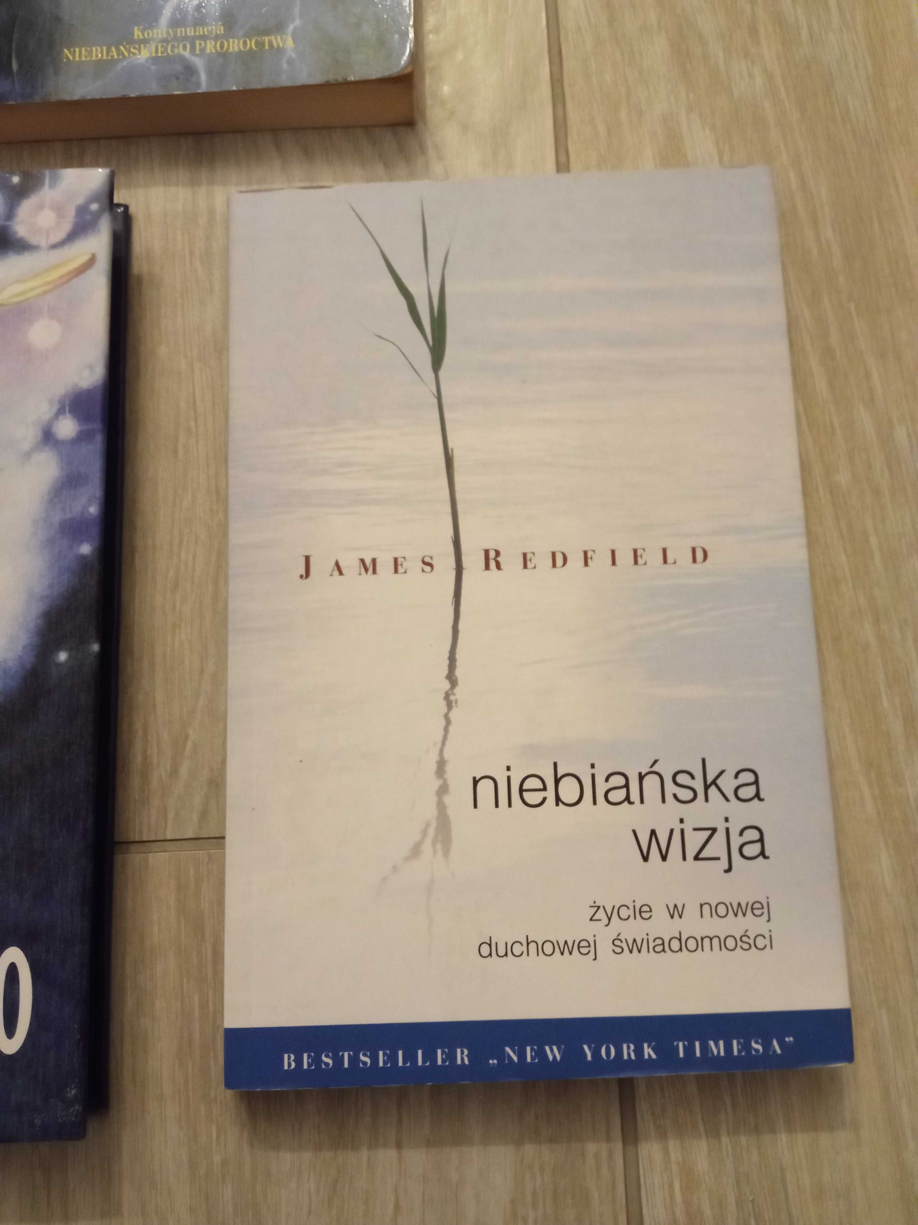 James Redfield Niebiańska wizja Niebiańskie proroctwo 10Wtajemniczenie