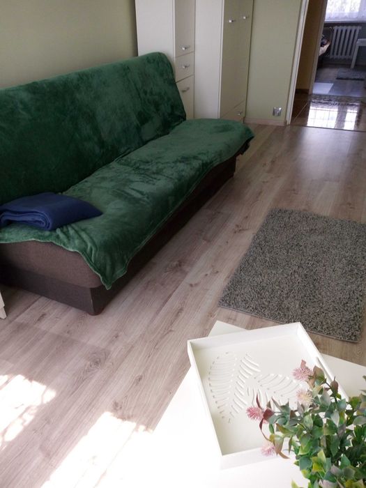 Waszyngtona 14 dla studentki medyka