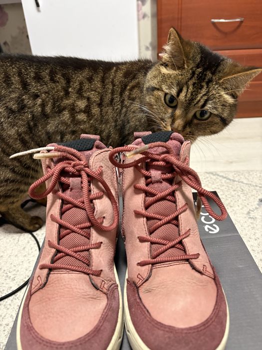 Продам чоботи Ecco для дівчинки.