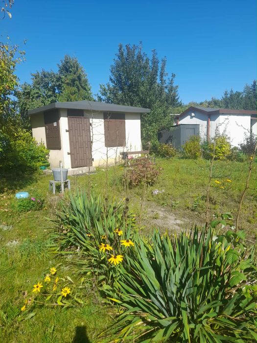 Działka ROD z urokiem natury