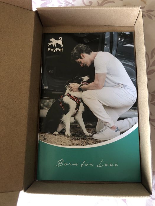 Arnês novo para cão