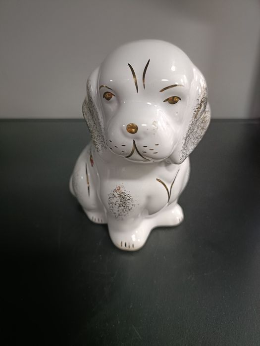 Piesek czerwona róża