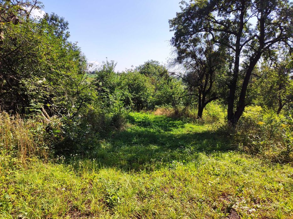 Земельна ділянка зі старим будинком с. Тамановичи