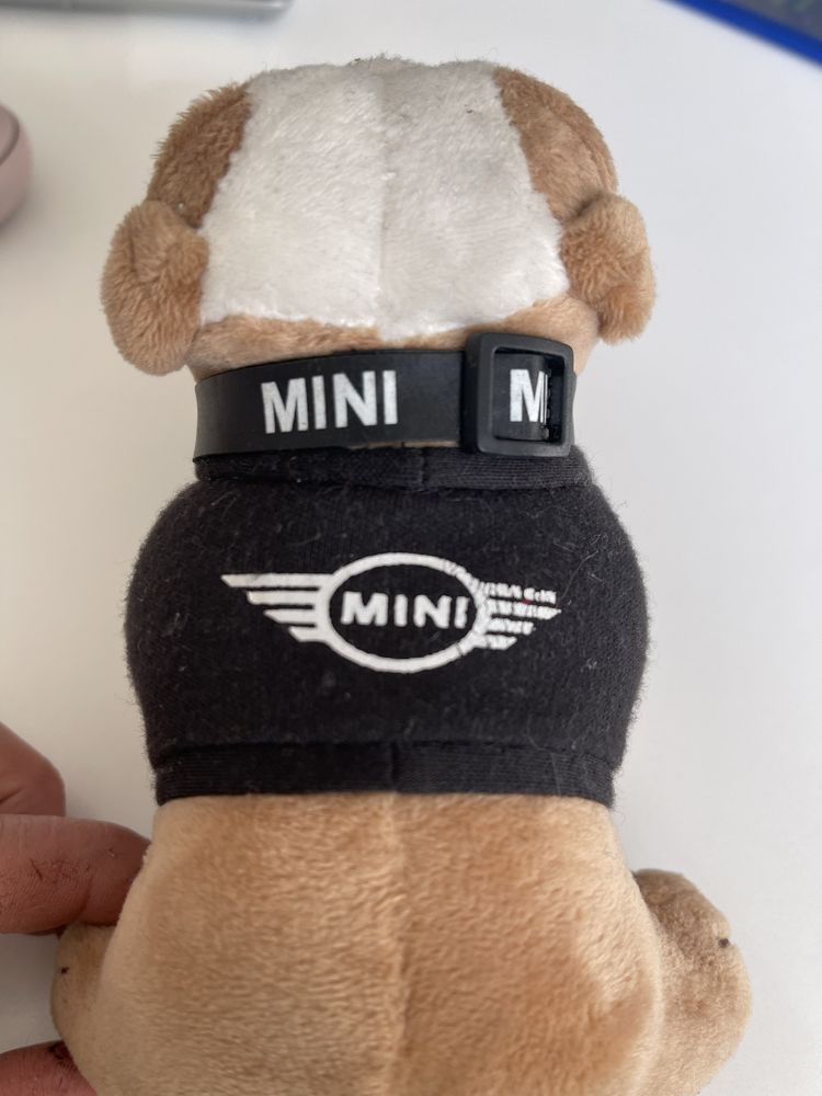 Песик в MiniCooper