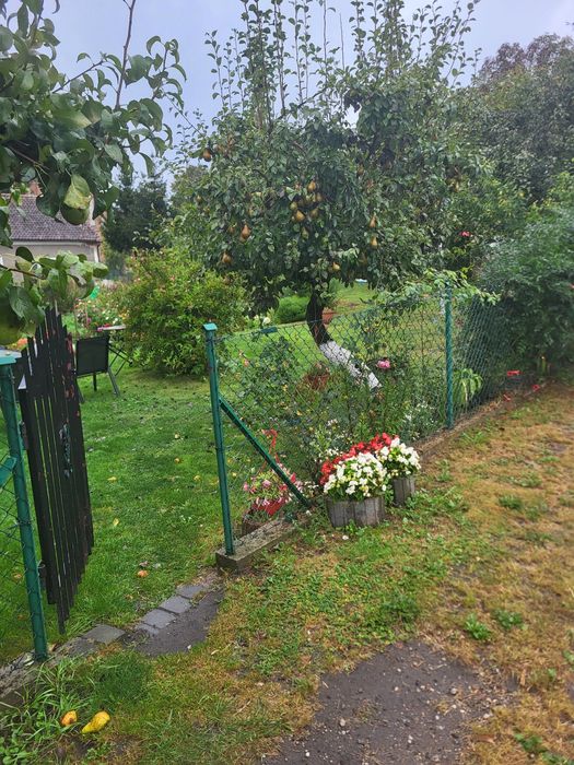 Dom na sprzedaż w Piotraszewie