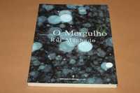 O Mergulho // Rui Machado