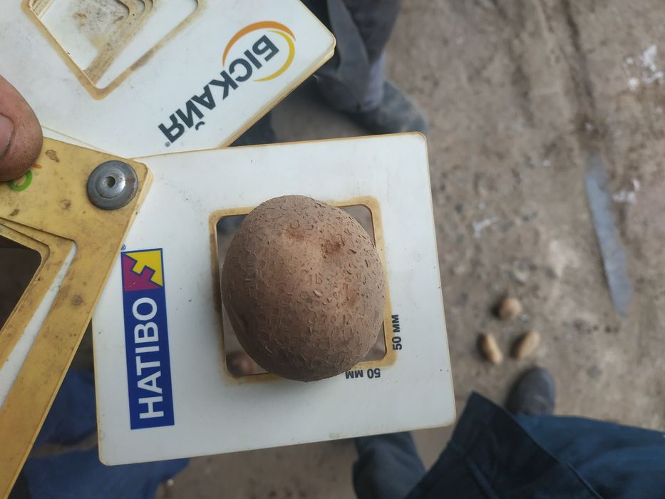 Картошка картофель картопля Доставка