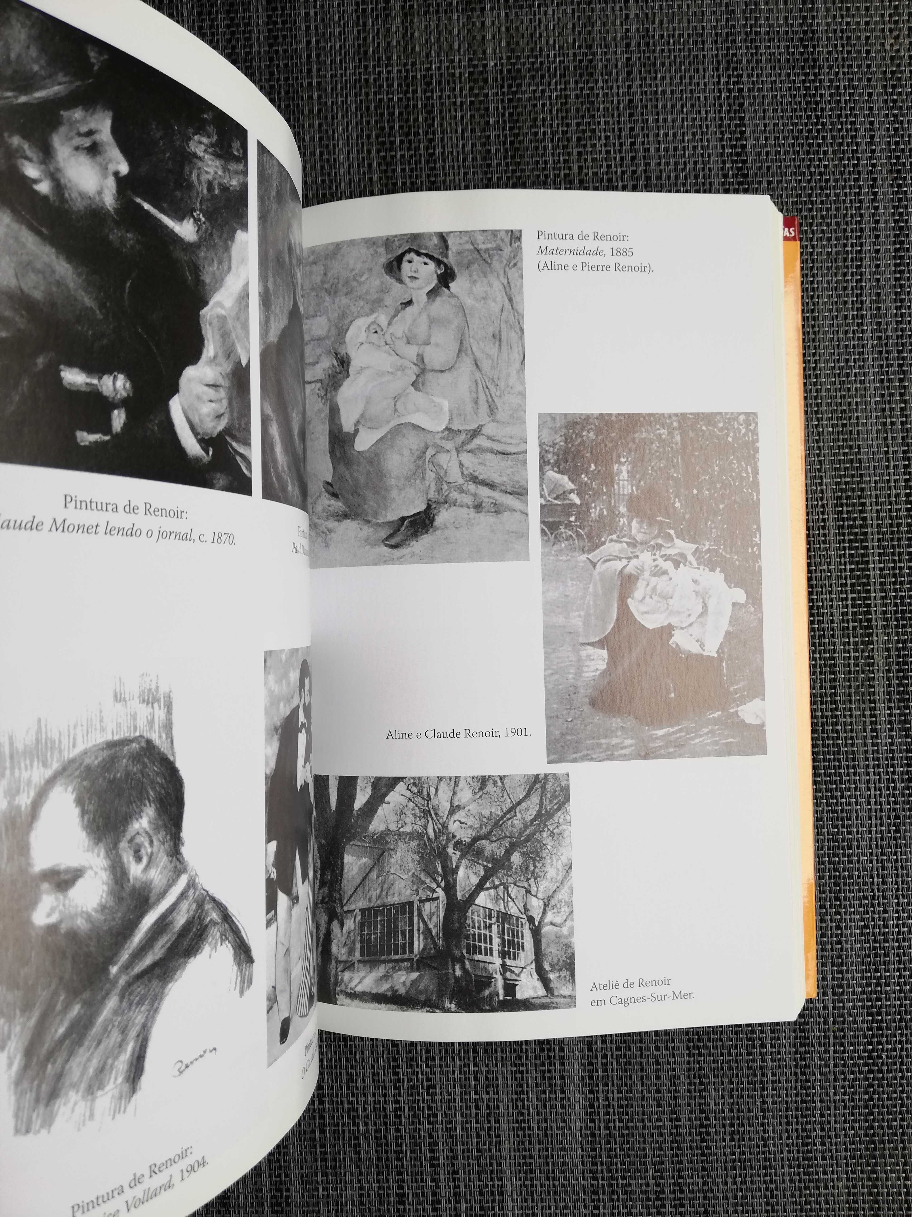 Pierre-Auguste Renoir, meu pai - Jean Renoir