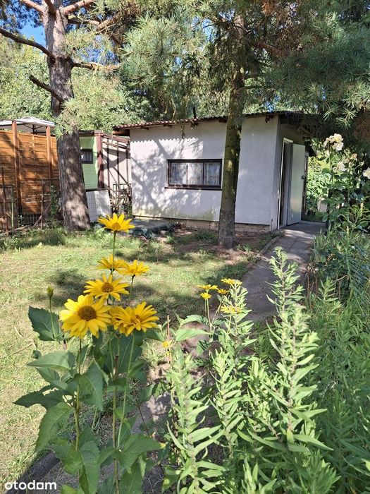 Działka ROD z domkiem, prąd–Droga Dębińska, Super lokalizacja!