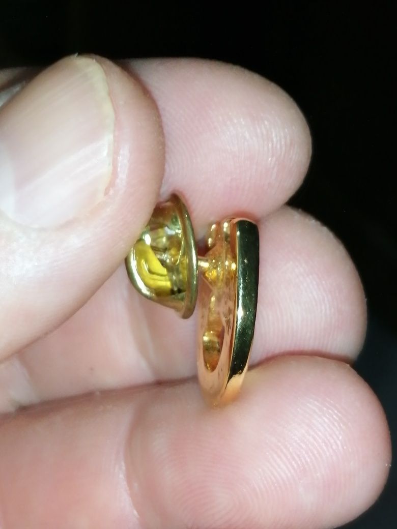 Pin de Ferradura e cabeça de cavalo